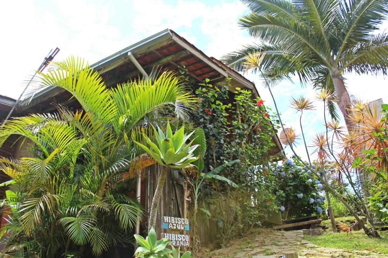 Hotel Morada Dos Hibiscos Praia do Rosa Exteriér fotografie